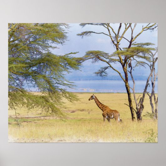 Africa Safari Giraffe Waterverf Painting Poster (Voorkant)