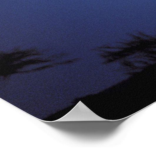 Africa, Tanzania, Tarangire. Acacia tree in Poster (Hoek)