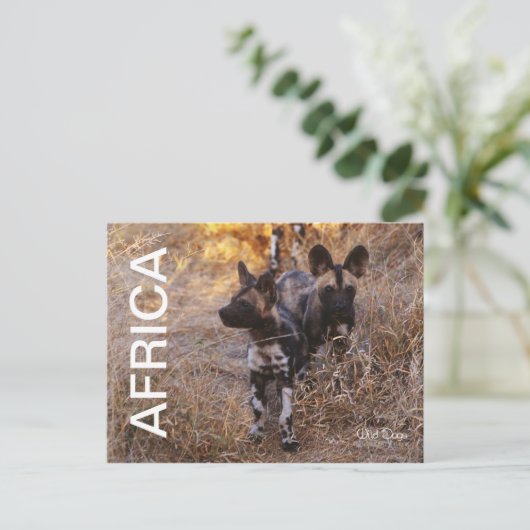 Africa Wild Dogs Travel Briefkaart (Staand voorkant)