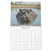 Africa Wildlife Calendar 2026 / African Animals 2 Kalender (Feb 2026)