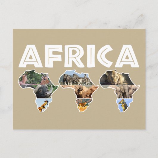 Africa Wildlife Continent Trio Collage Feestdagenkaart (Voorkant)