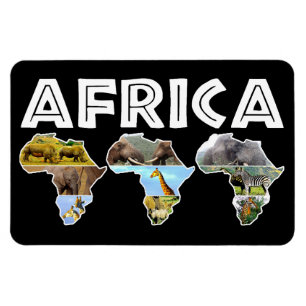 Africa Wildlife Continent Trio Collage Magnet Magneet