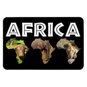 Africa Wildlife Continent Trio Magneet