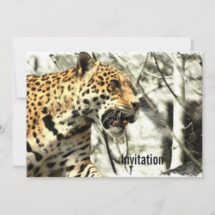 africa wildlife safari Animal Wild Leopard Kaart