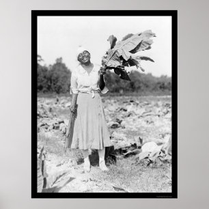 Africa Woman with Tobacco 1912 Poster