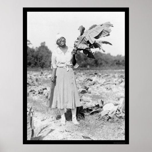 Africa Woman with Tobacco 1912 Poster (Voorkant)