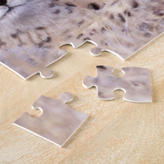 Africa, Zuid-Afrika, Tswalu Reserve. Cheetahs Legpuzzel (Zijkant)