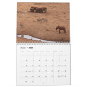 African Animals 2026 Calendar Kalender (Mar 2026)