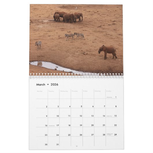 African Animals 2026 Calendar Kalender (Mar 2026)