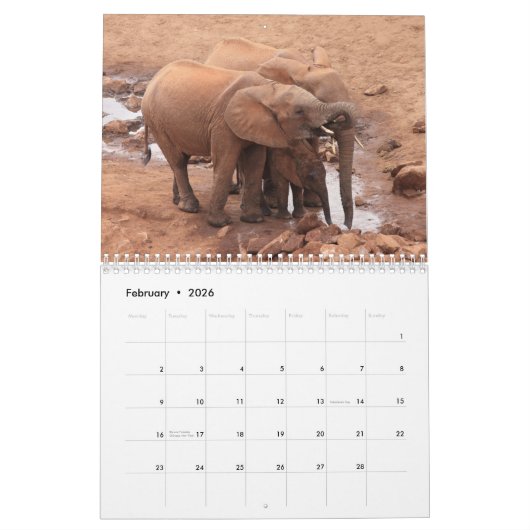 African Animals 2026 Calendar Kalender (Feb 2026)