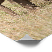 African Baby Elephant with Mother Poster (Hoek)