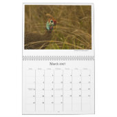 African Birdlife Calendar Kalender (Mar 2027)