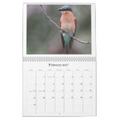 African Birdlife Calendar Kalender (Feb 2027)