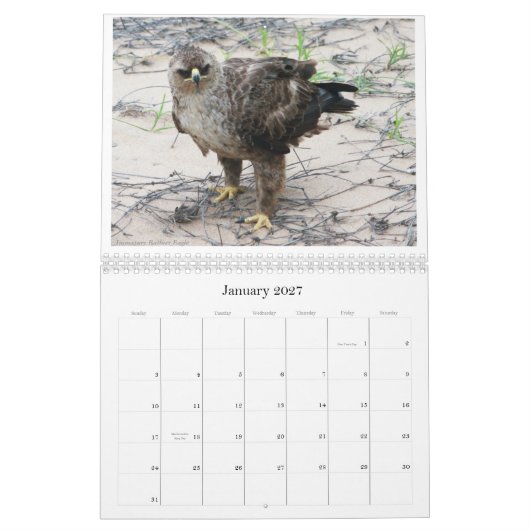 African Birdlife Calendar Kalender (Jan 2027)