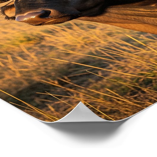 African Buffalo Poster (Hoek)