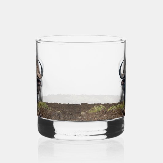 African buffalo whisky glas (Rechts)