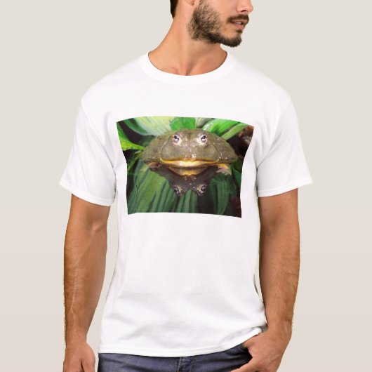 African Burrowing Bullfrog, Pyxicephalus 2 T-shirt (Voorkant)
