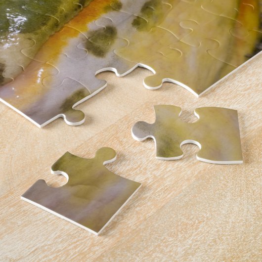 African Burrowing Bullfrog, Pyxicephalus Legpuzzel (Zijkant)