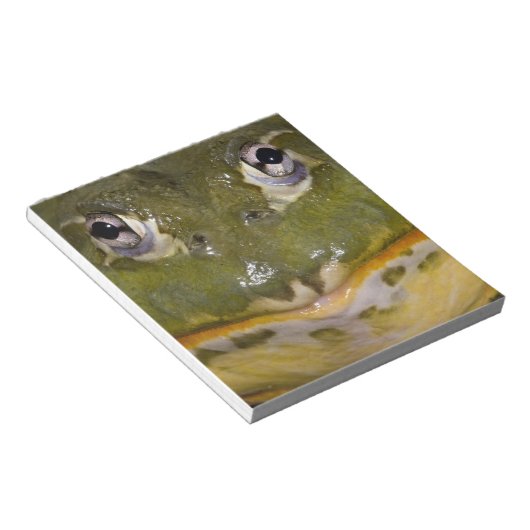 African Burrowing Bullfrog, Pyxicephalus Notitieblok (Schuin)