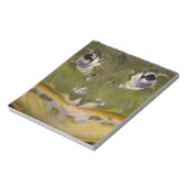 African Burrowing Bullfrog, Pyxicephalus Notitieblok (Linkerzijde)