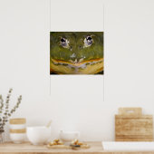 African Burrowing Bullfrog, Pyxicephalus Poster (Keuken)