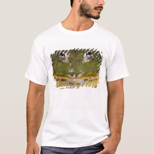 African Burrowing Bullfrog, Pyxicephalus T-shirt (Voorkant)