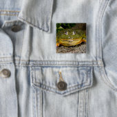 African Burrowing Bullfrog, Pyxicephalus Vierkante Button 5,1 Cm (In situ)