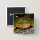 African Burrowing Bullfrog, Pyxicephalus Vierkante Button 5,1 Cm (Voorkant /achterkant)