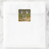 African Burrowing Bullfrog, Pyxicephalus Vierkante Sticker (Tas)