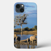 African Bush Elephants Case-Mate iPhone Case (Achterkant)