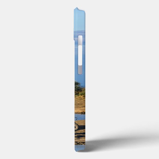 African Bush Elephants Case-Mate iPhone Case (Achterkant / Links)