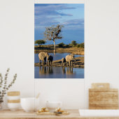 African Bush Elephants Poster (Keuken)
