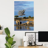 African Bush Elephants Poster (Thuiskantoor)