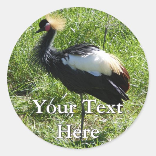 African Crane Stickers (Voorkant)
