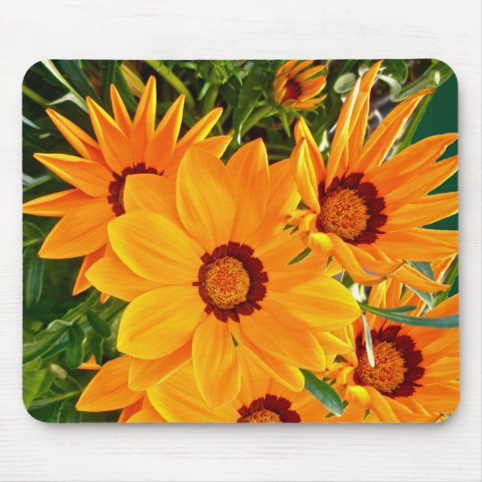 African Daisies Mousepad Muismat (Voorkant)