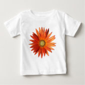 African Daisy (Voorkant)
