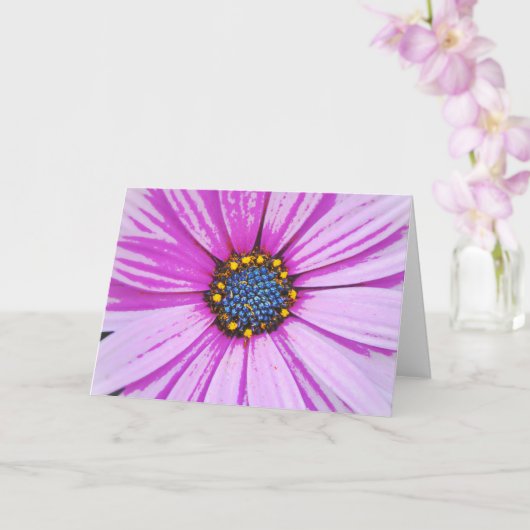 African Daisy Art Pink Flower Note Kaart (Orchidee)