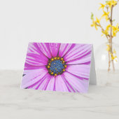 African Daisy Art Pink Flower Note Kaart (Gele Bloem)