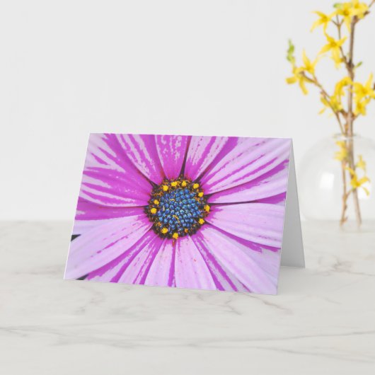 African Daisy Art Pink Flower Note Kaart (Gele Bloem)