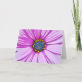 African Daisy Art Pink Flower Note Kaart (Voorkant)
