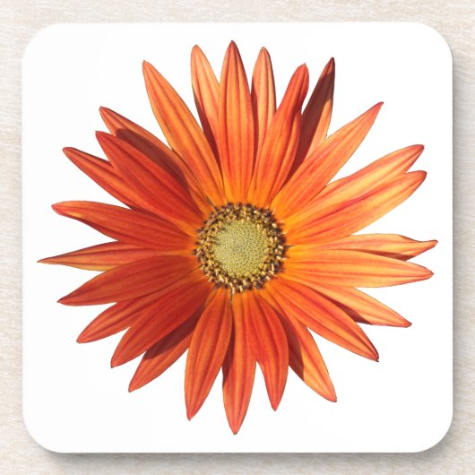 African Daisy Bier Onderzetter (Voorkant)