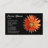 African Daisy - Black Visitekaartje (Achterkant)