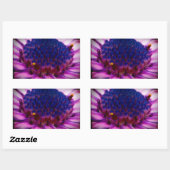 African Daisy Blossom Rectangle Sticker (Vel)