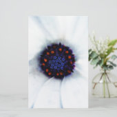 African Daisy Briefpapier (Staand voorkant)