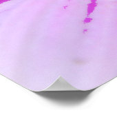 African Daisy Close Up Poster Kunst (Hoek)