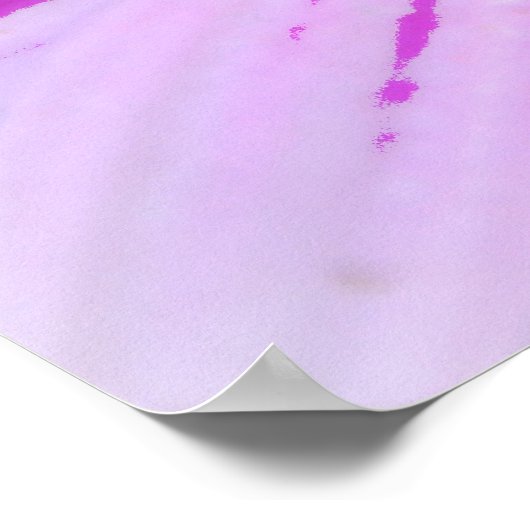 African Daisy Close Up Poster Kunst (Hoek)