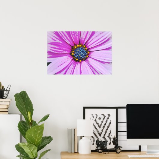 African Daisy Close Up Poster Kunst (Thuiskantoor)