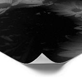 African Daisy Flowers Black White High Contrast Poster (Hoek)