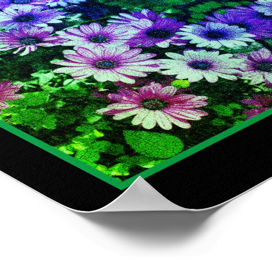 African Daisy Flowers Colorful Abstract Poster (Hoek)