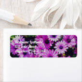 African Daisy Flowers  Kijkadres Etiket (Insitu)